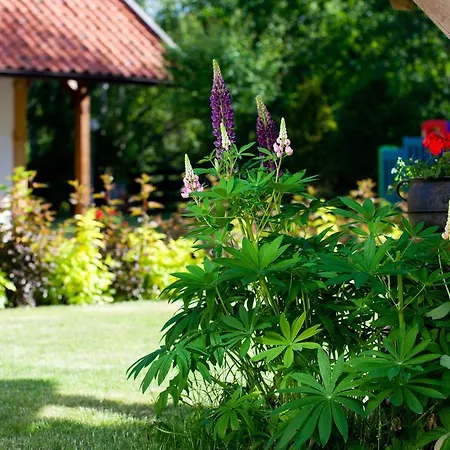 Siedlisko Grabinowo K/Olsztyna Villa Olsztyn  Eksteriør bilde